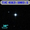 TYC 4163-1003-1