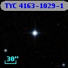 TYC 4163-1029-1