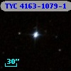 TYC 4163-1079-1
