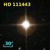 HD 111443