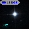 HD 111907