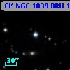 Cl* NGC 1039    BRU      15