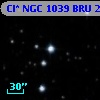 Cl* NGC 1039    BRU      25