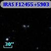 IRAS F12455+5903