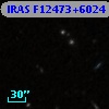 IRAS F12473+6024