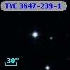 TYC 3847-239-1
