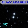 Cl* NGC 1039    BRU      76