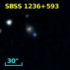 SBSS 1236+593