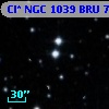 Cl* NGC 1039    BRU      77