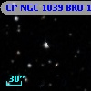 Cl* NGC 1039    BRU     172