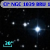 Cl* NGC 1039    BRU     173