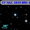 Cl* NGC 1039    BRU     183