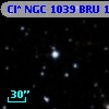 Cl* NGC 1039    BRU     184