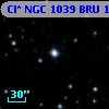 Cl* NGC 1039    BRU     187