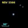 NSV  5566