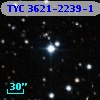 TYC 3621-2239-1