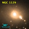 NGC  1129
