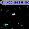 Cl* NGC 1039      W     892