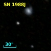 SN 1988J