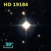 HD  19184
