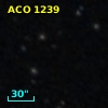 ACO  1239