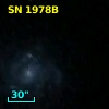 SN 1978B