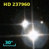 HD 237960