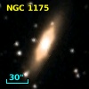 NGC  1175