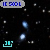 IC 5031