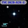 TYC 3829-828-1