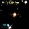 V* V429 Per