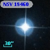 NSV 18460