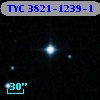 TYC 3821-1239-1