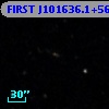 FIRST J101636.1+563926