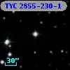 TYC 2855-230-1