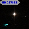 HD 237856