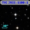 TYC 2855-1100-1