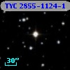 TYC 2855-1124-1