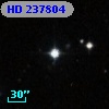HD 237804