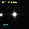 HD 233604
