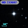 HD 233607