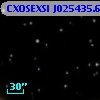 CXOSEXSI J025435.6+414100