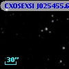 CXOSEXSI J025455.6+414227