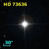 HD  73636