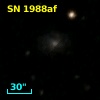 SN 1988af