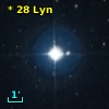 *  28 Lyn