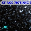 Cl* NGC 7078    KHG      51