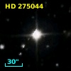 HD 275044