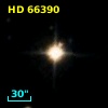 HD  66390