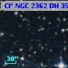 Cl* NGC 2362     DH      35